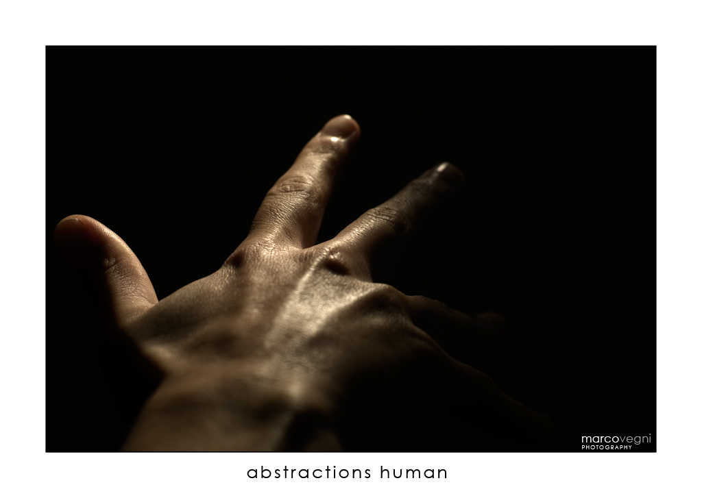 Abstractions Human