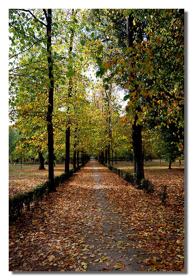 Atmosfere d'atunno 1