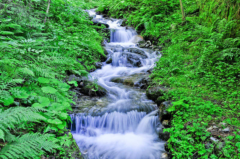 Ruscello di montagna