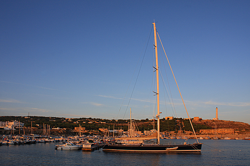 IL GRANDE ALBERO E IL FARO DI LEUCA