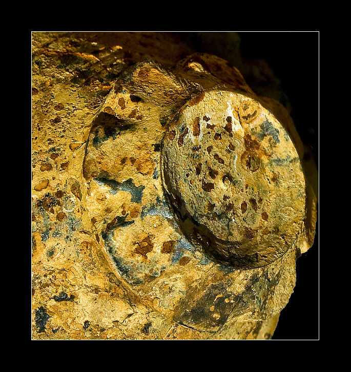 Non � tutto oro quello che luccica...#2