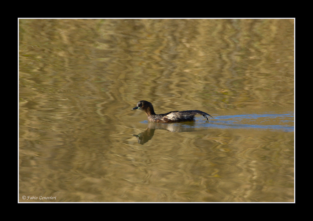 Tuffetto "d'autunno"
