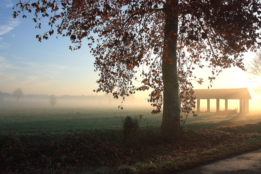 Tra Inferno e Paradiso