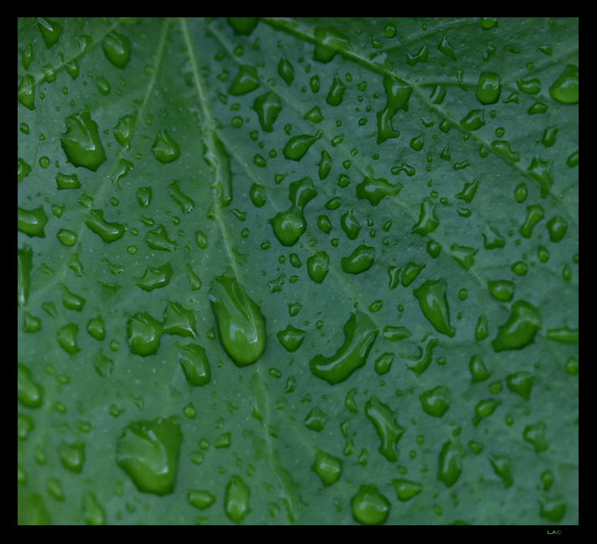 dopo la pioggia(prova)