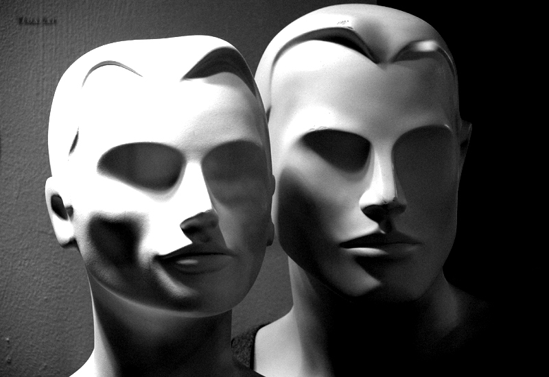 A volte sono meglio delle persone...