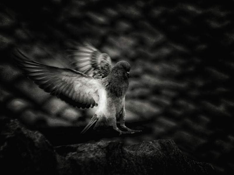 quando fuori piove rompe