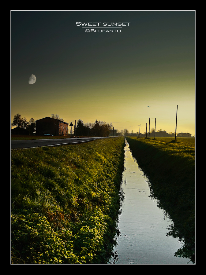 Sweet Sunset
