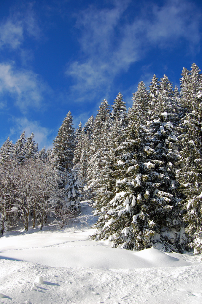 Madonna di Campiglio (TN)