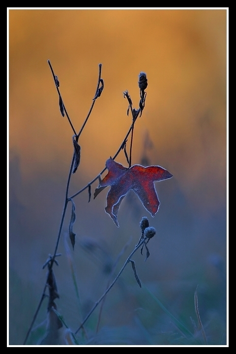 Quasi..... Inverno.....