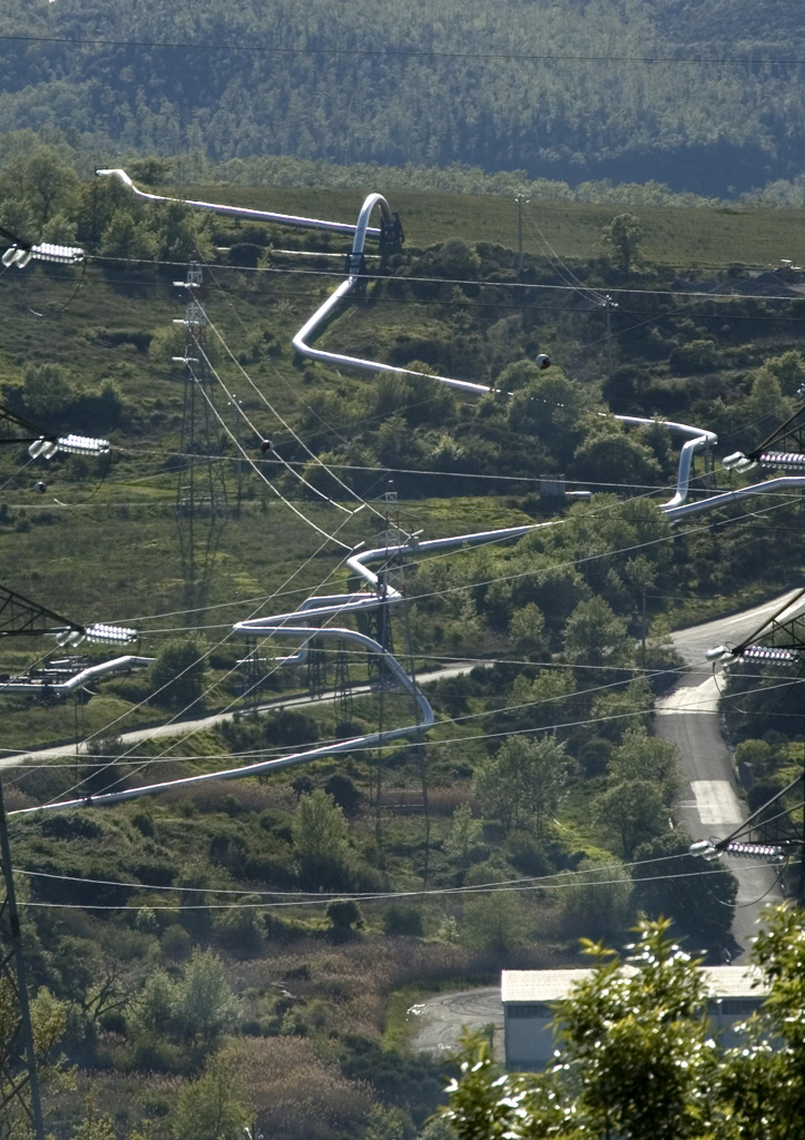 Natura selvaggia-mente aggredita