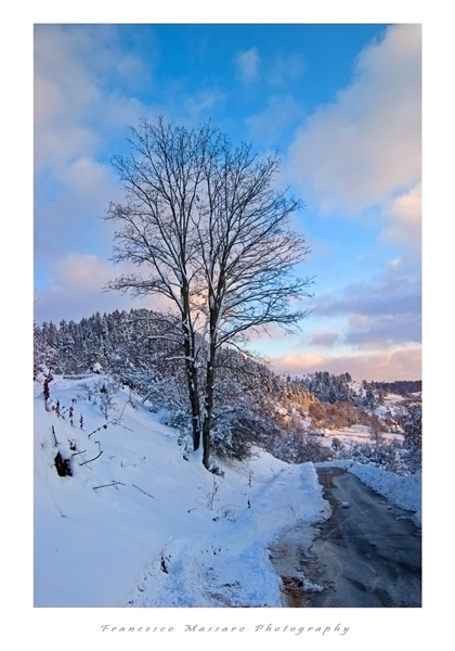 Bosnia sotto la neve