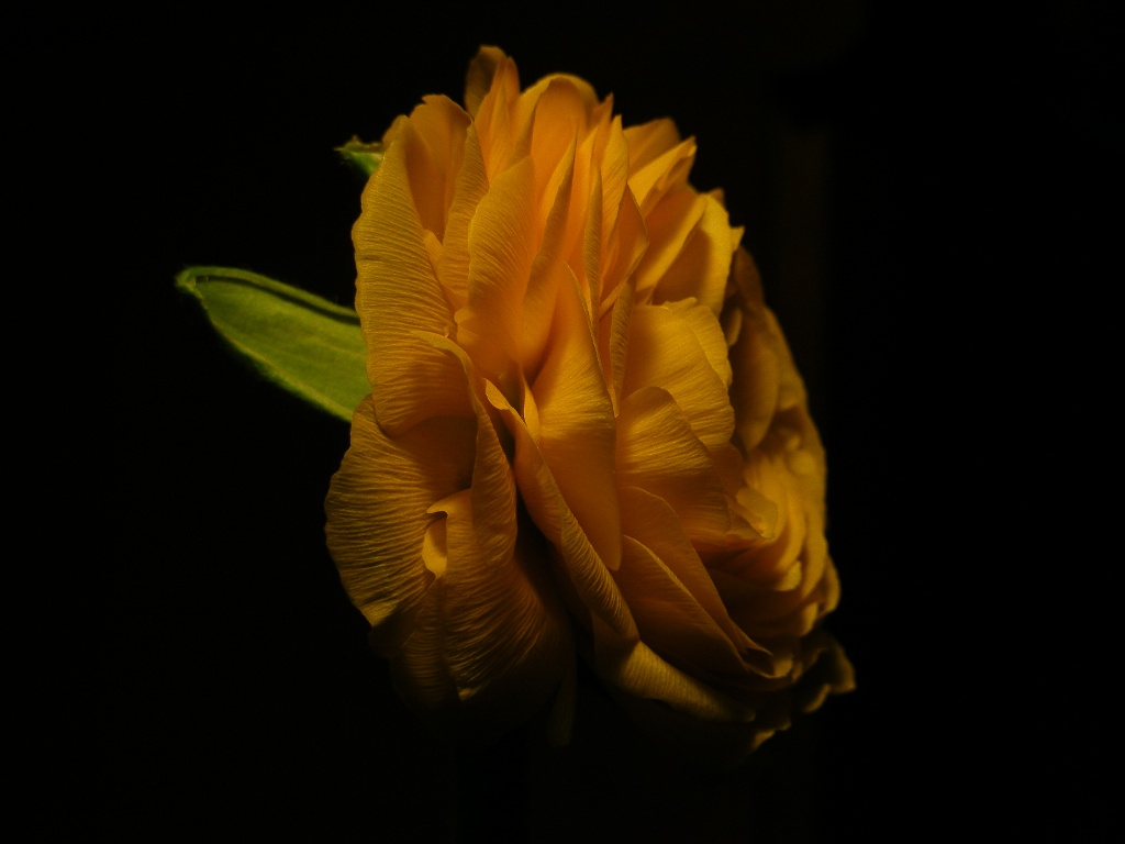 red bull ti mette le ali