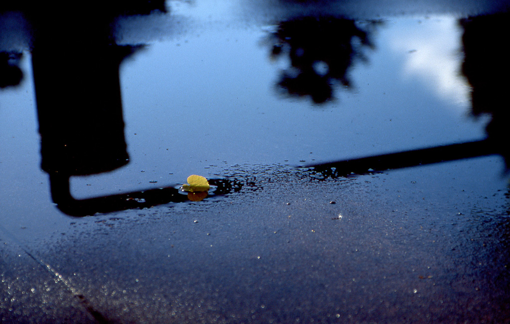 Credevo fosse il cielo...