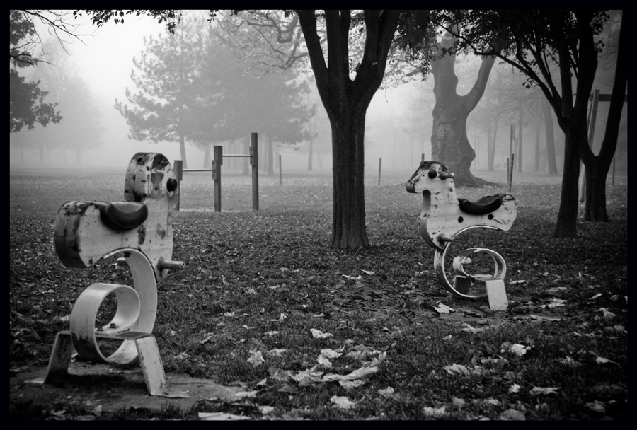 In pace nella nebbia