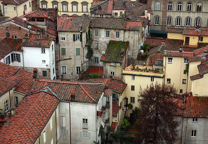 Un reticolo di case a Lucca