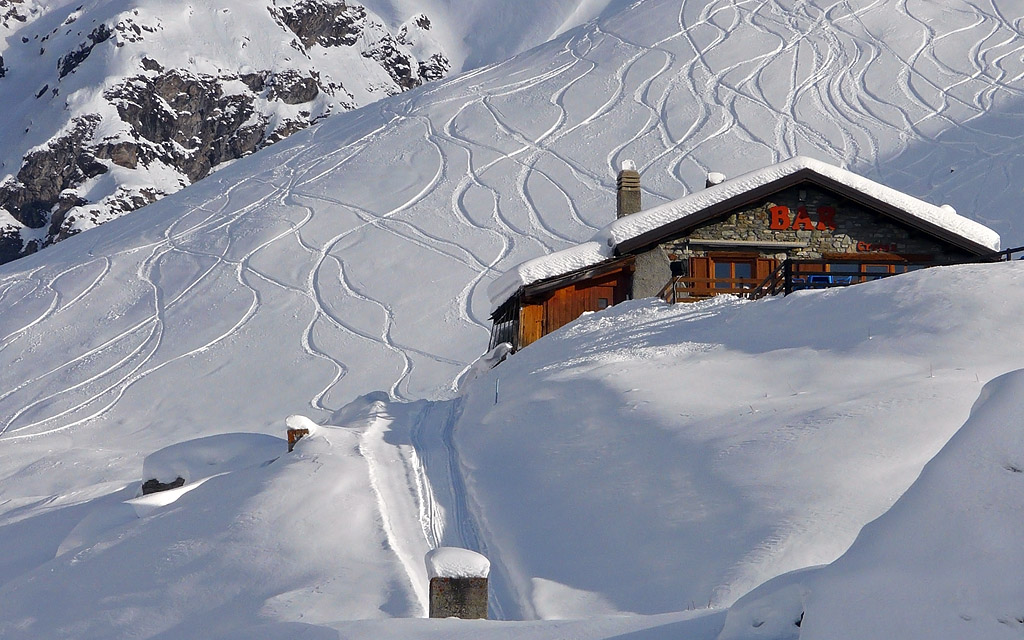 dreaming of a white...