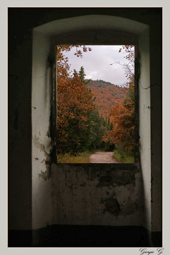 Una cornice Insolita......