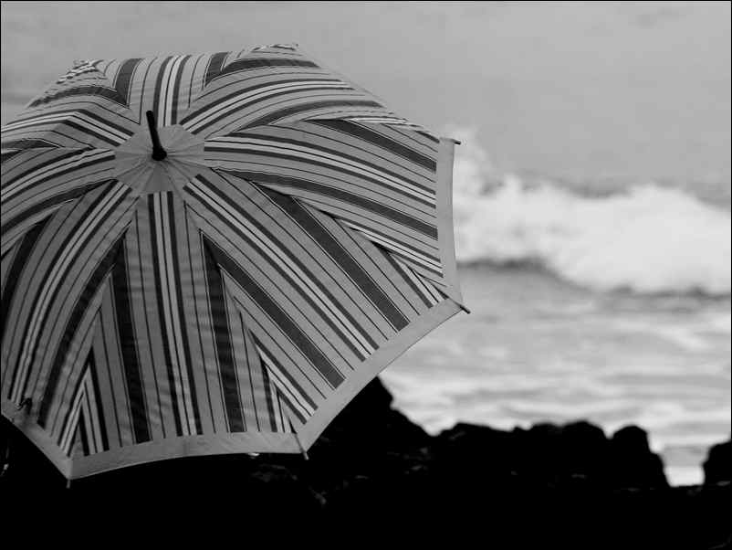 la piccola storia del serfista solitario