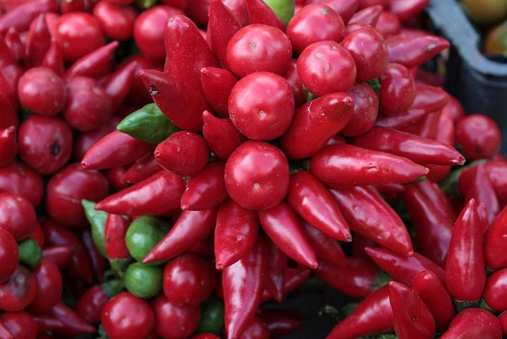 Red chilli Pepper