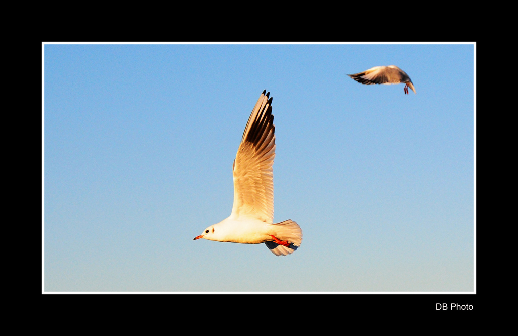 ....qualcosa non va???