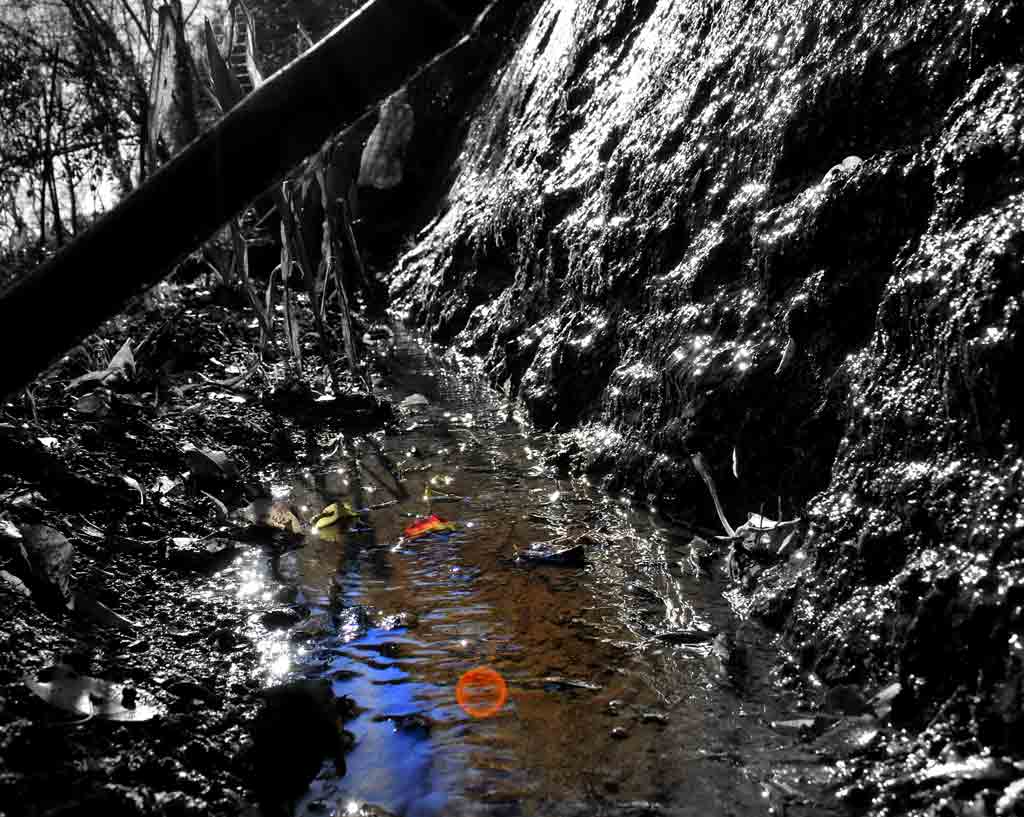 l'acqua del pozzo pu� affogare o dissetare