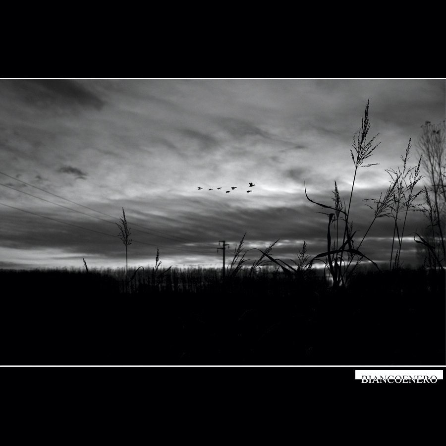 ::: AL CALAR DEL SOLE :::