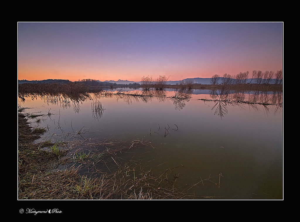 il padule.....� l'acqua