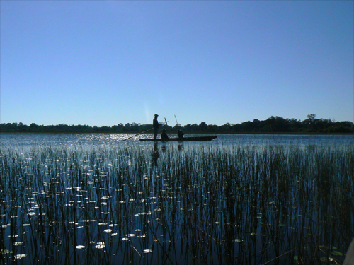 Sul Delta dell'Okawuango