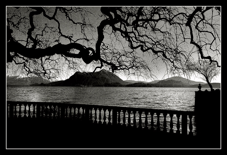 poco bianco solo nero