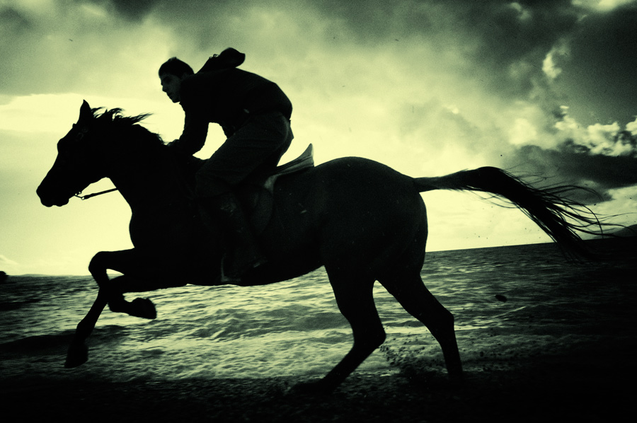 Il Cavaliere del Mare