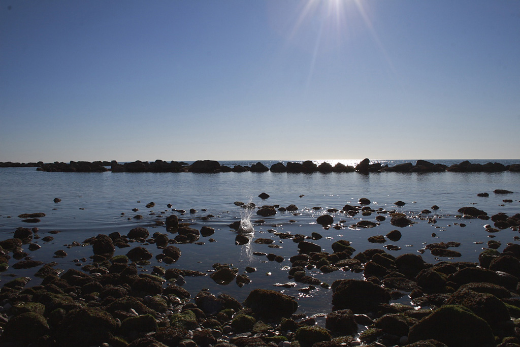 Splash! Marina di massa...