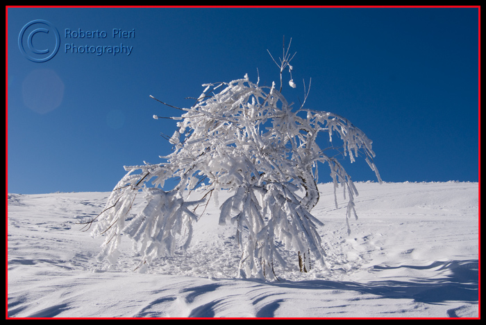 sulla neve in alta quota