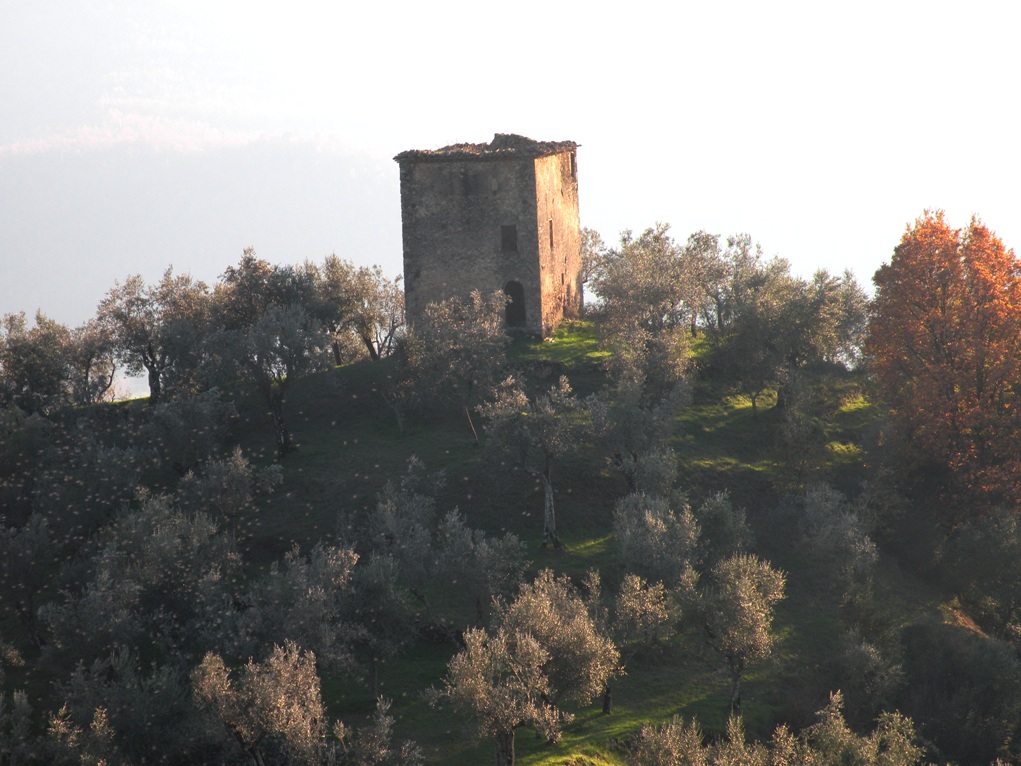 casale tra gli ulivi