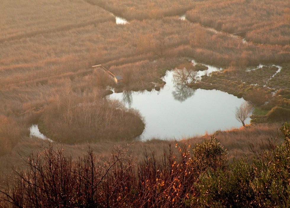 l'isola galleggiante