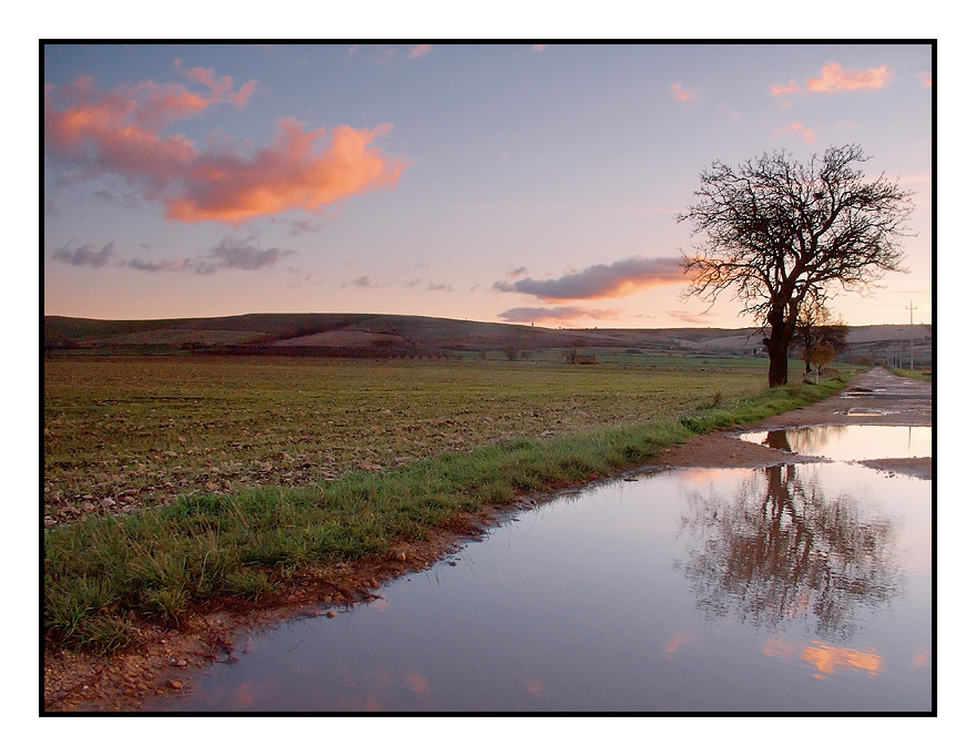 ...DOPO LA PIOGGIA...