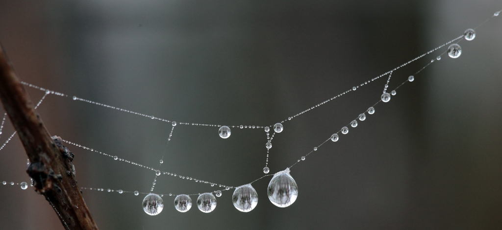 primi scatti con 5d markII