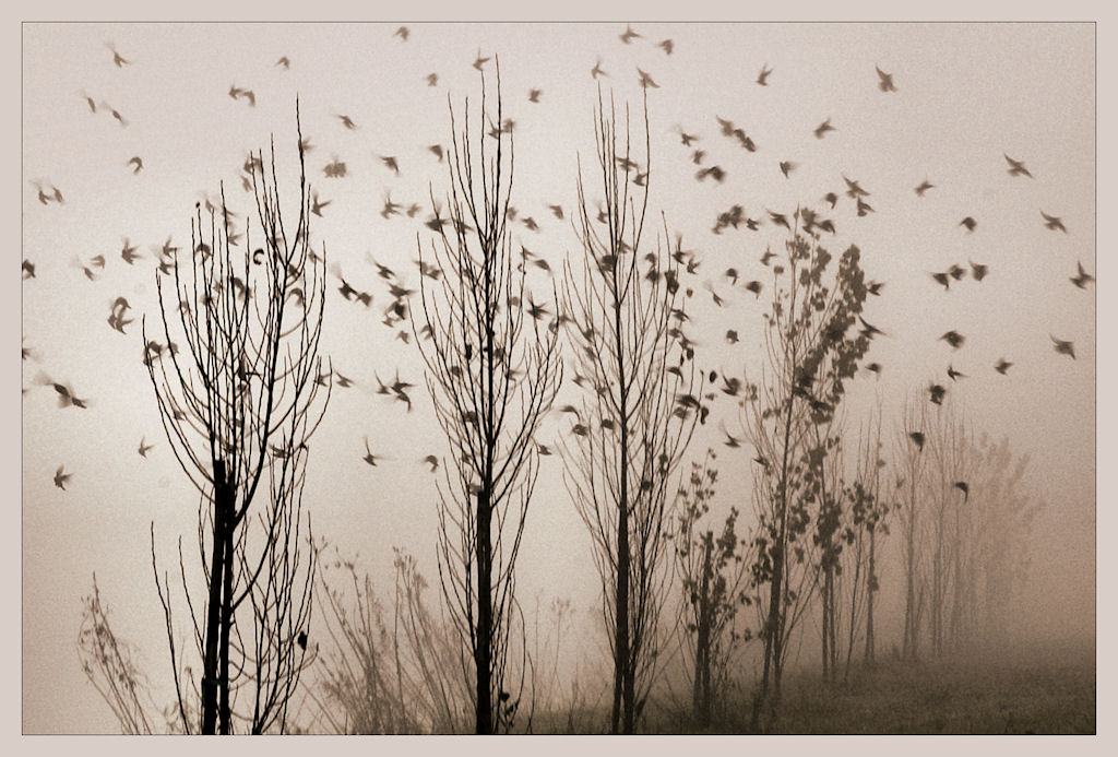 voli impercettibili....