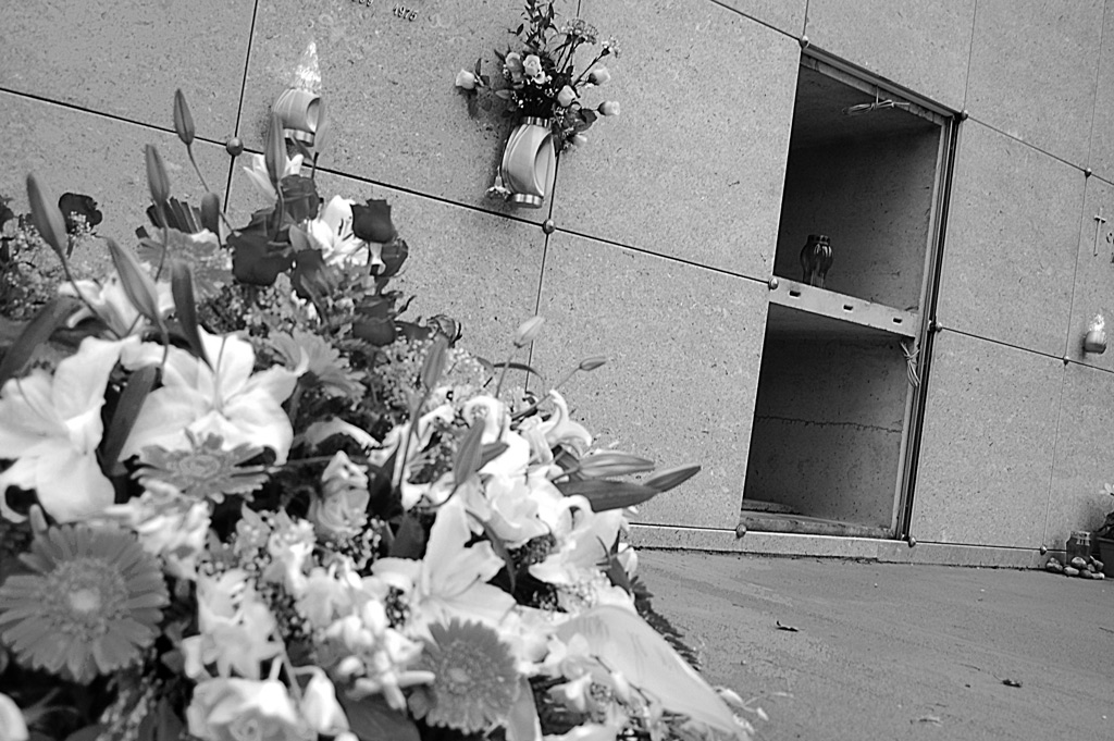 1�Novembre-posti liberi