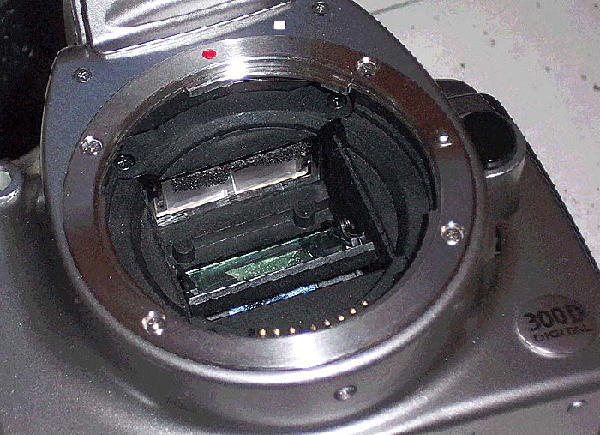 SPUGNETTA CANON EOS 300D