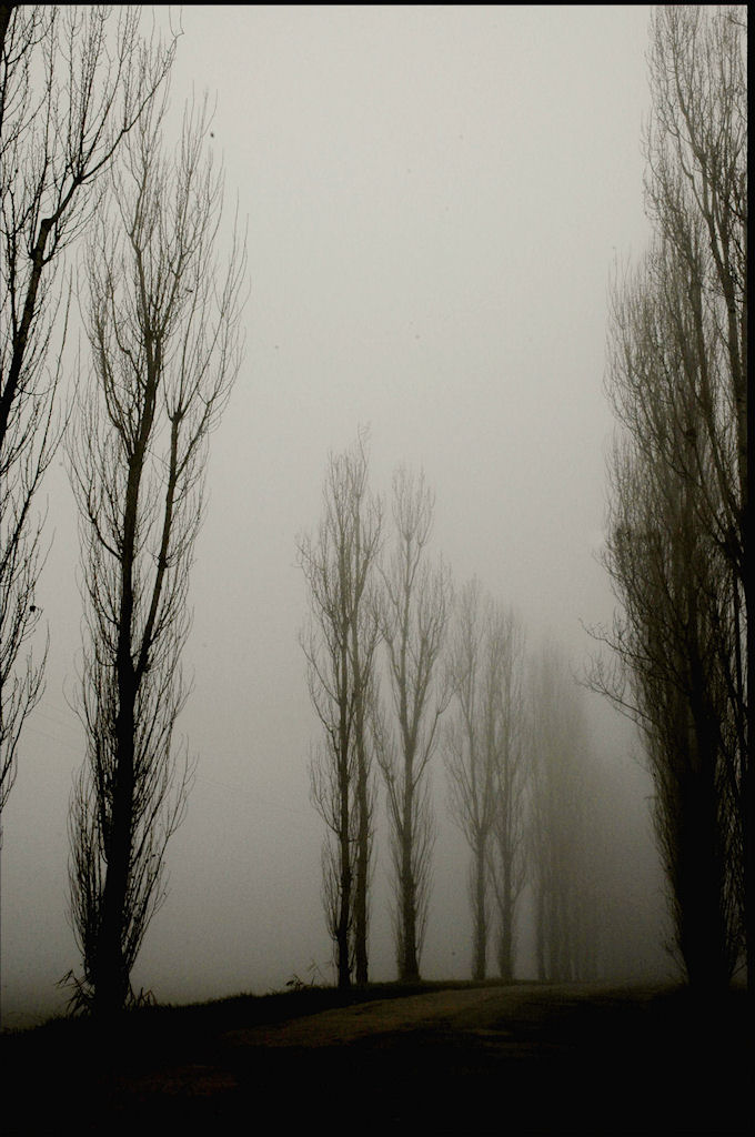 la nebbia del respiro ormai....