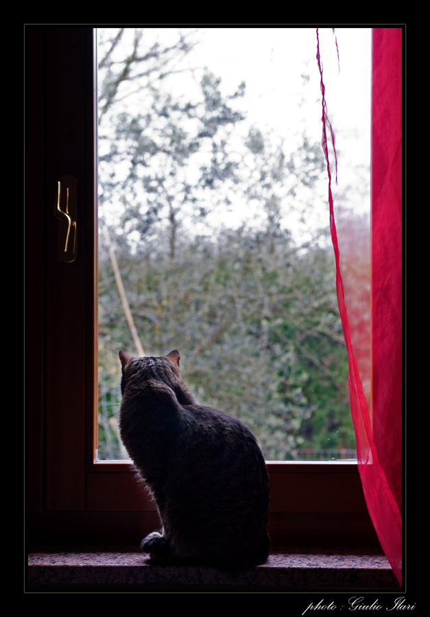 E il navigar m'� dolce in questo mare