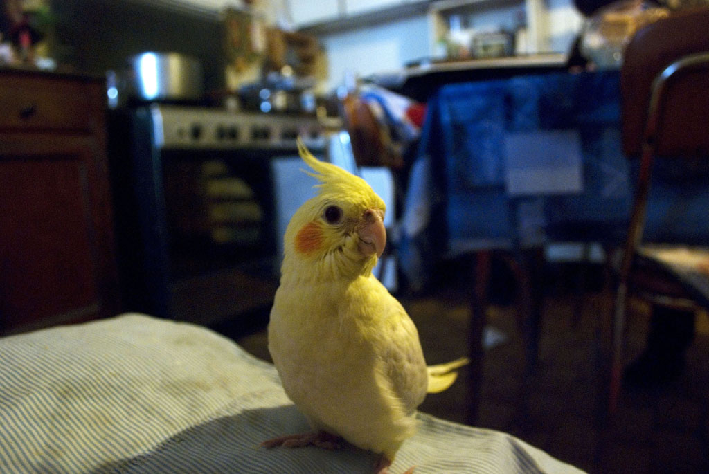 Passeggiata quotidiana