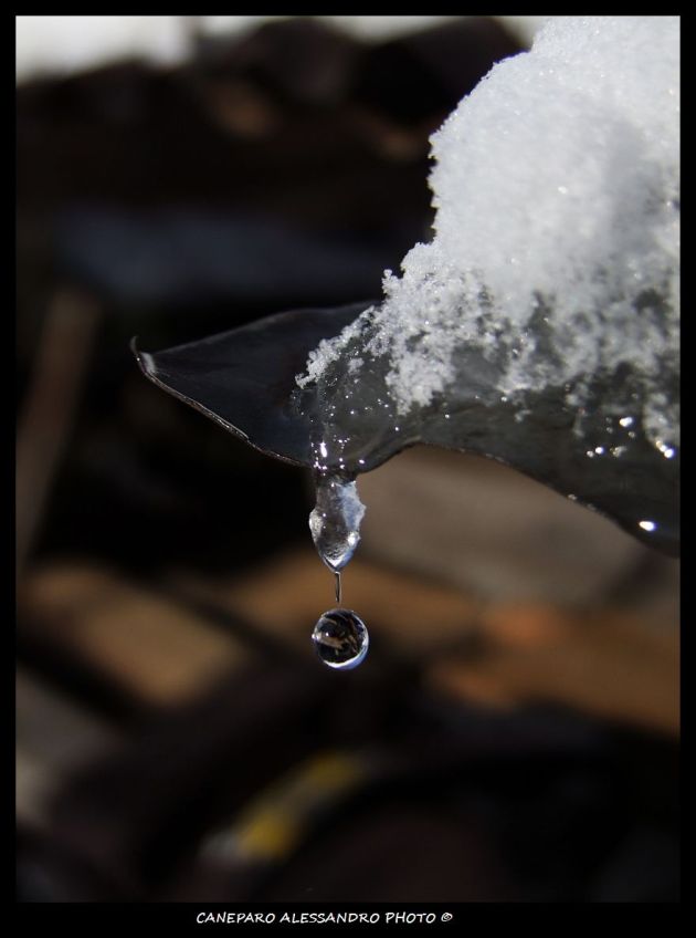 goccia di neve