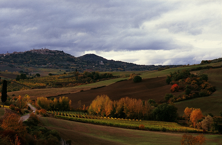 Campagna di Montepulciano mattina presto