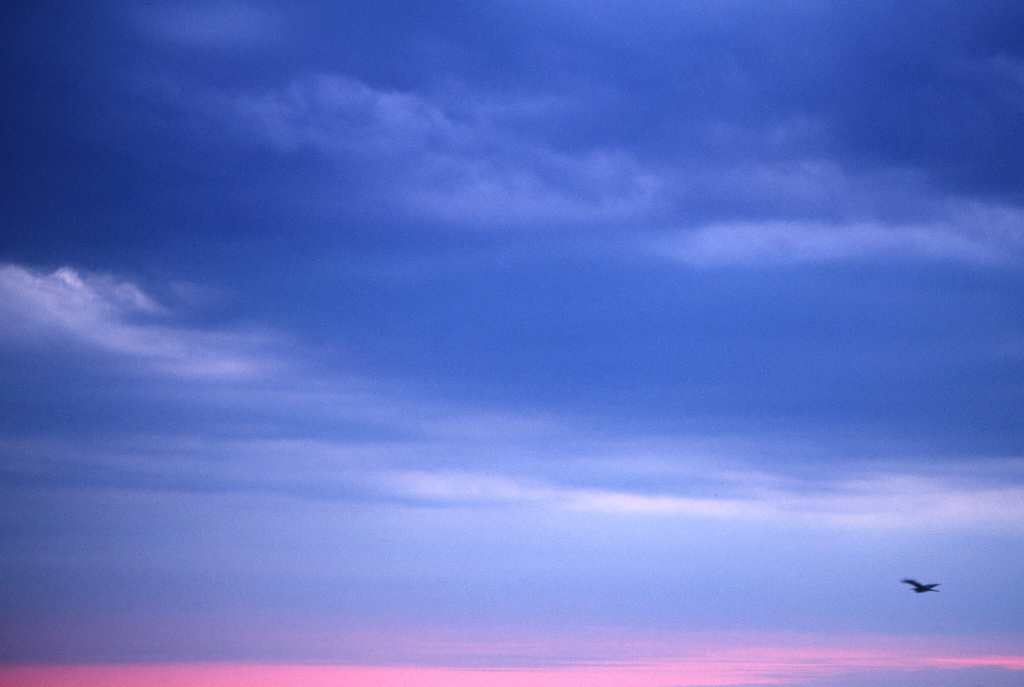 the power of goodbye