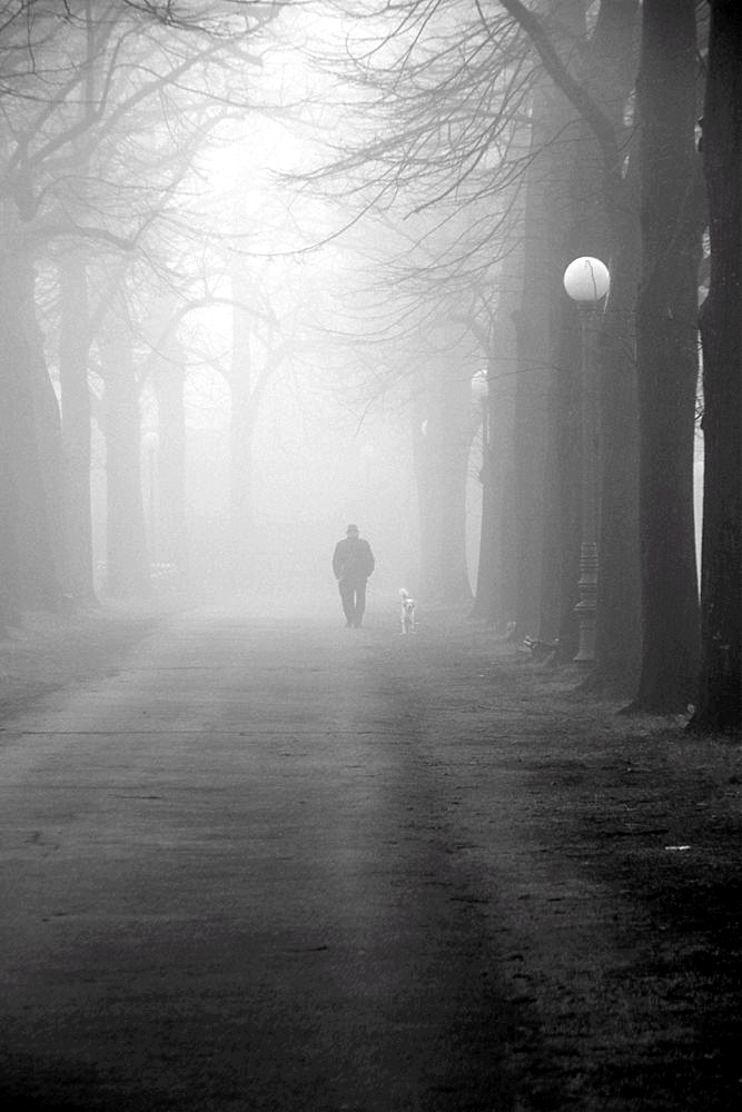 solitudine nella nebbia