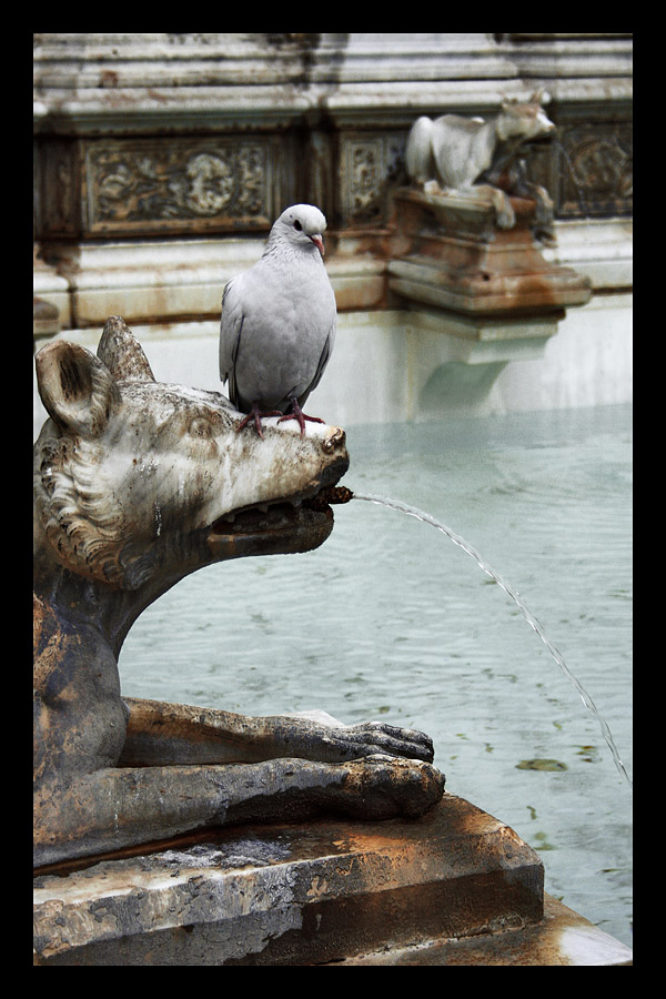 La bella e la bestia