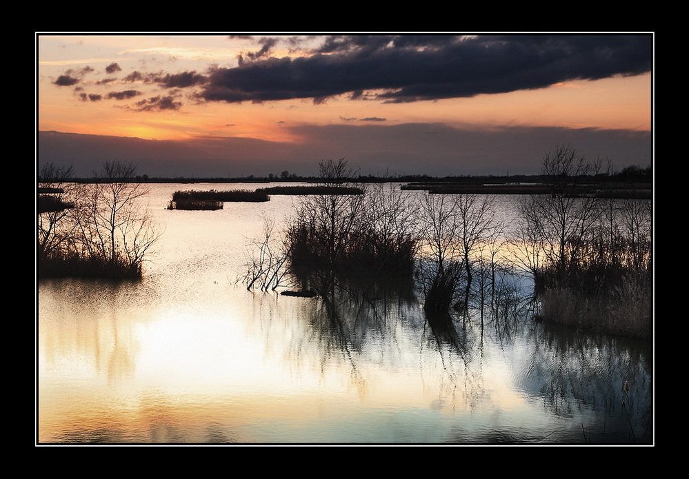 E alla tua luce mi incanto...