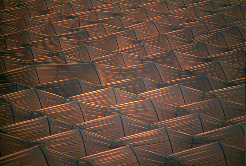 C'� sempre qualcuno che esce dal coro