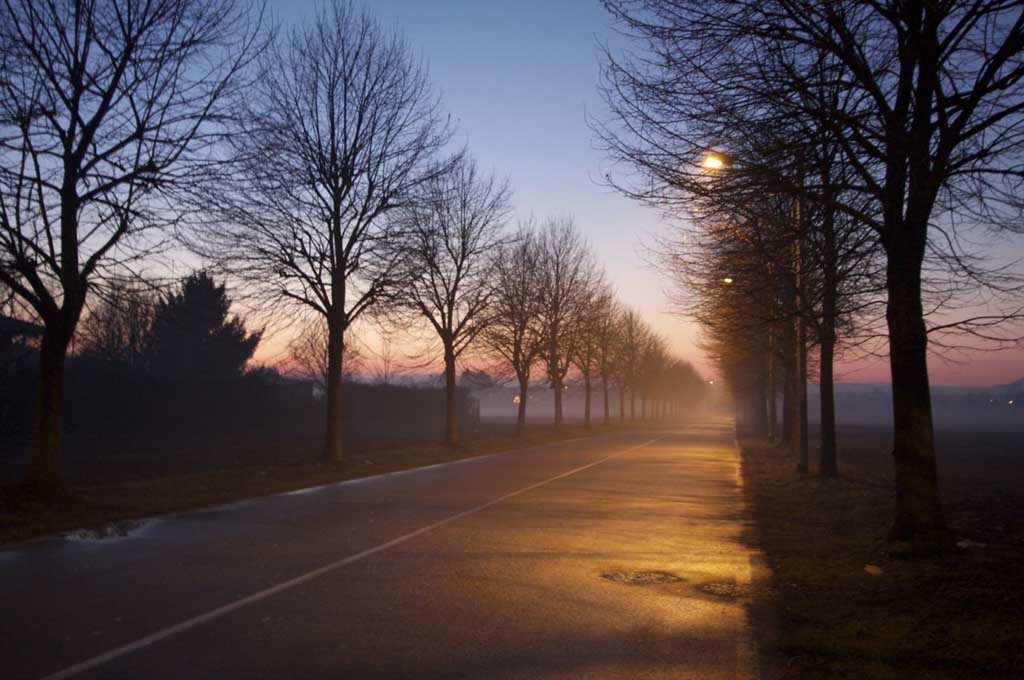Viale del tramonto